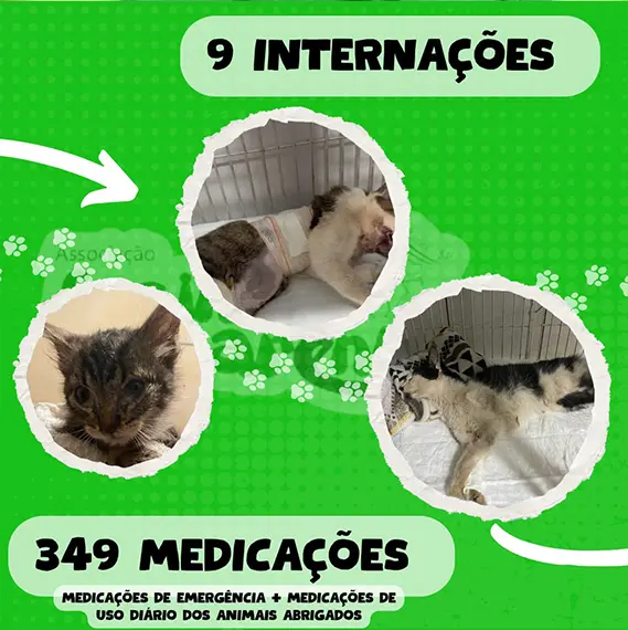 Balanço Mensal — Maio 2025 (imagem 2 de 8)