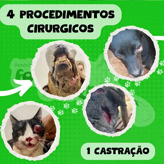 Balanço Mensal — Junho 2025 (imagem 4 de 8)