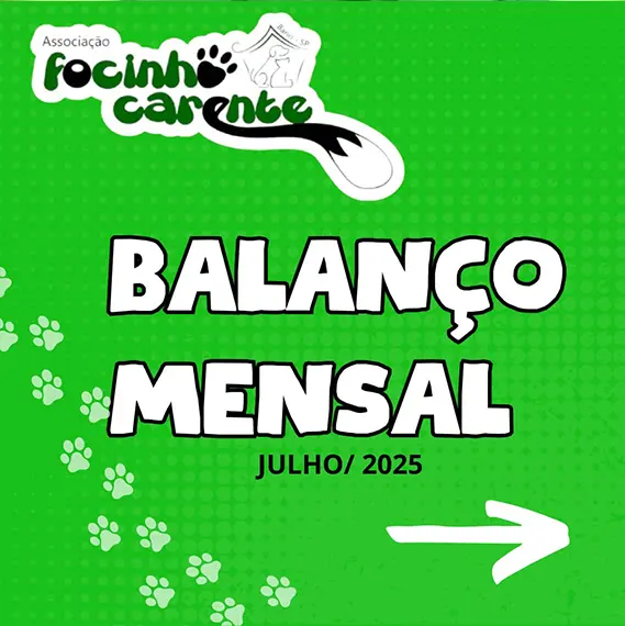 Balanço Mensal — Julho 2025 (imagem 1 de 9)