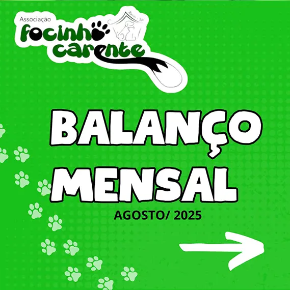 Balanço Mensal — Agosto 2025 (imagem 1 de 11)