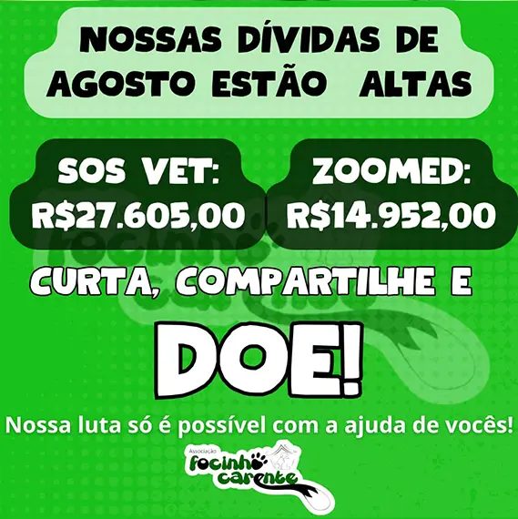 Balanço Mensal — Agosto 2025 (imagem 10 de 11)