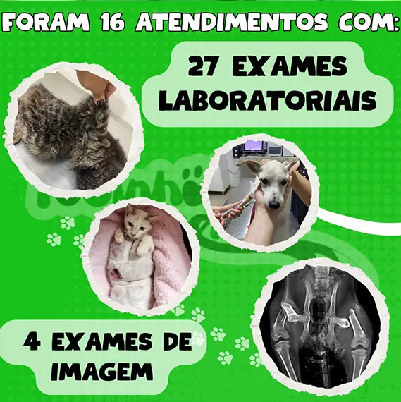 Balanço Mensal — Setembro 2024 (imagem 4 de 10)