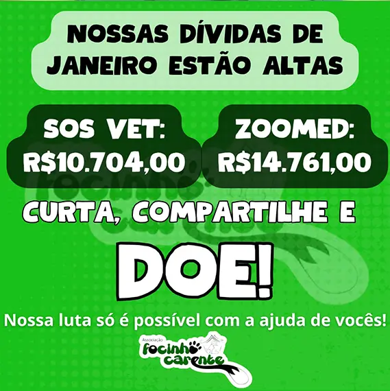 Recursos próprios e balanço — Janeiro 2026 (imagem 7 de 11)