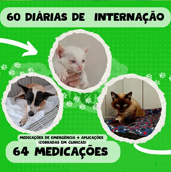 Recursos próprios e balanço — Janeiro 2026 (imagem 9 de 11)
