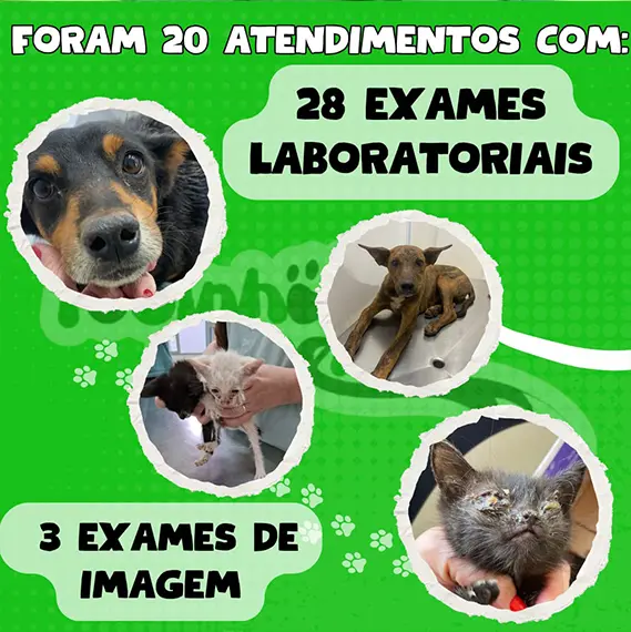 Balanço Mensal — Outubro 2024 (imagem 2 de 11)