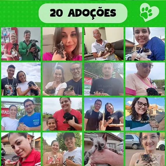 Balanço Mensal — Outubro 2024 (imagem 6 de 11)