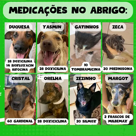 Balanço Mensal — Outubro 2024 (imagem 7 de 11)