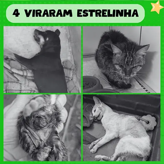 Balanço Mensal — Outubro 2024 (imagem 9 de 11)