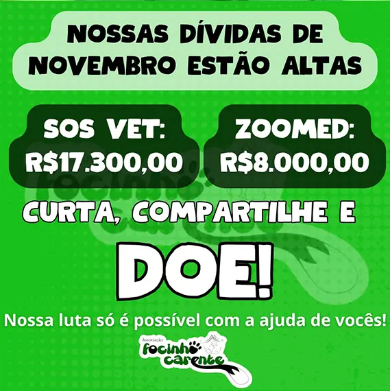Balanço Mensal — Novembro 2024 (imagem 8 de 9)