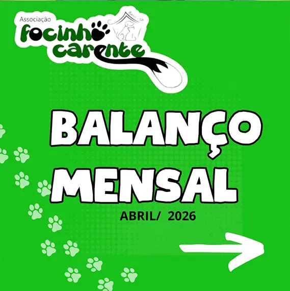Balanço — Fevereiro 2026 (imagem 10 de 19)