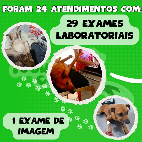 Balanço — Fevereiro 2026 (imagem 13 de 19)