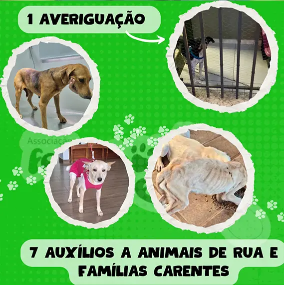 Balanço — Fevereiro 2026 (imagem 15 de 19)