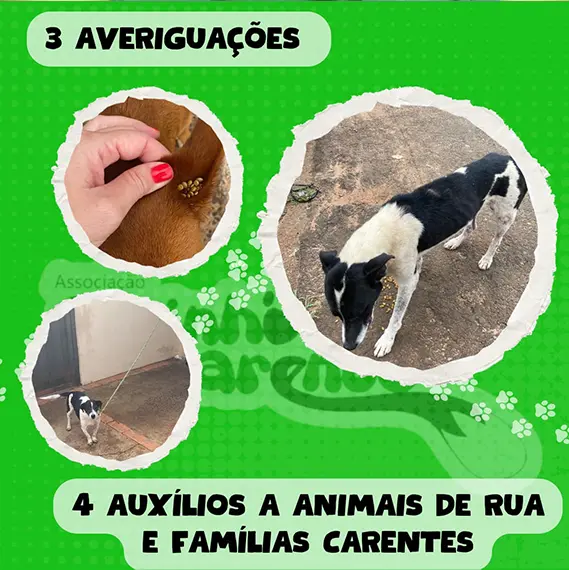 Balanço — Fevereiro 2026 (imagem 6 de 19)