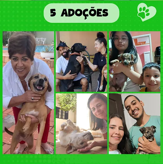 Balanço — Maio 2026 e recursos próprios (imagem 9 de 13)