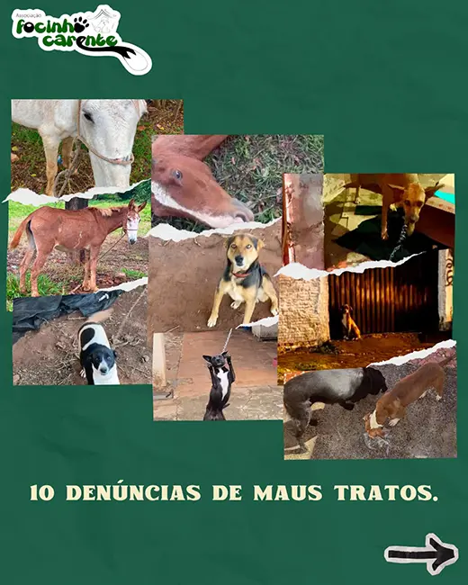 Balanço Mensal — Junho 2026 (imagem 5 de 9)